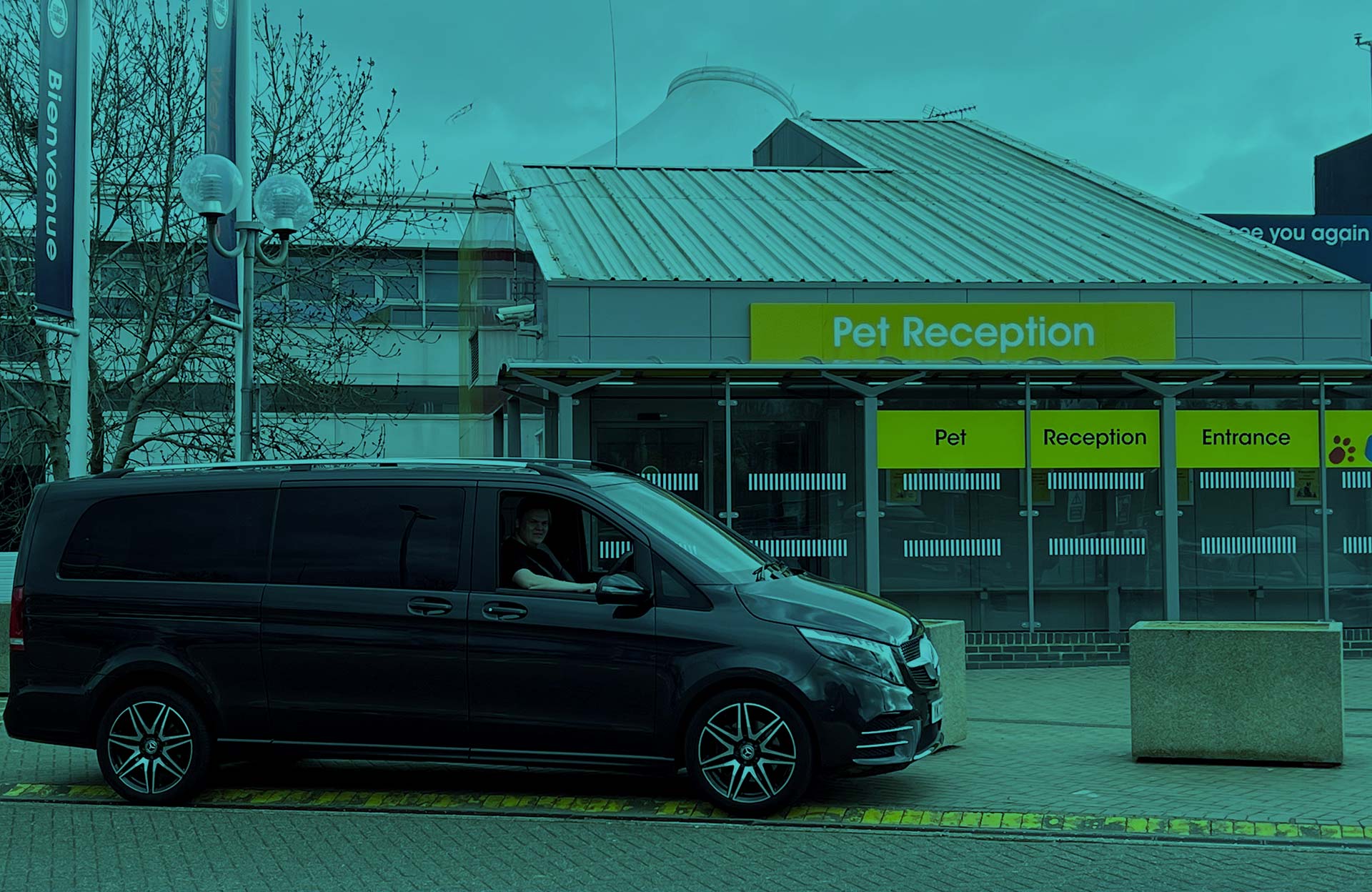 pet-transport